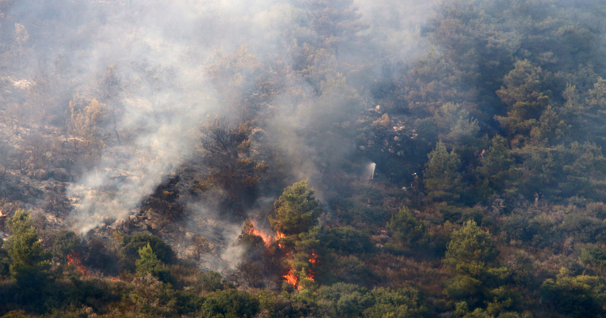 Lebanon Uses GIS to Improve Forest Fire Response project image