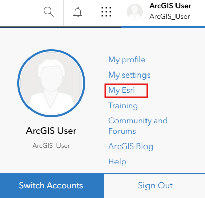 ArcGIS tab